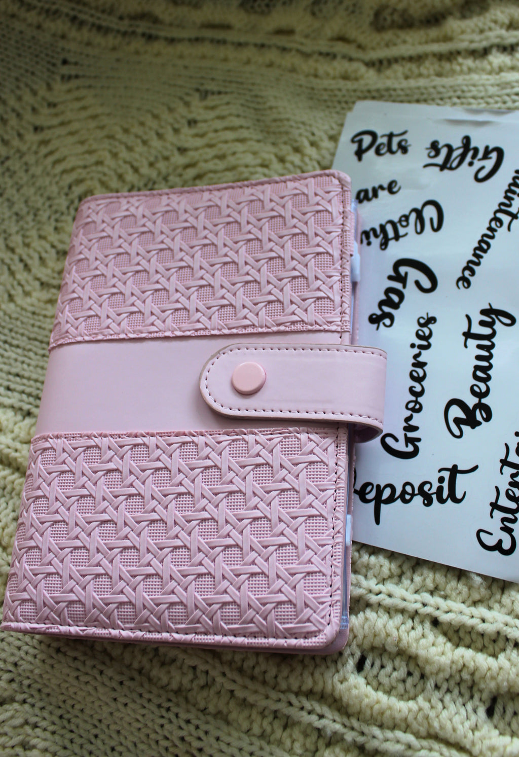 Pink Texture Money Saving Binder